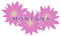 Montana Bitterroot Sticker