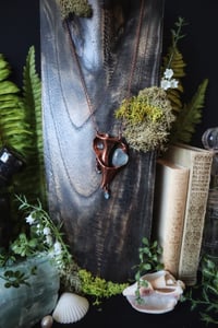 Image 2 of Ancient Waters Seashell Talisman