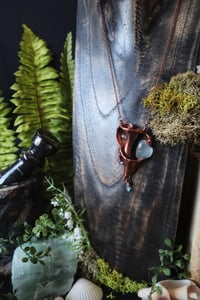 Image 4 of Ancient Waters Seashell Talisman