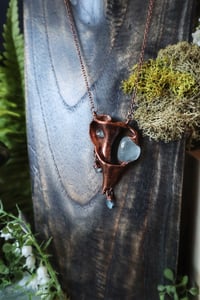 Image 3 of Ancient Waters Seashell Talisman