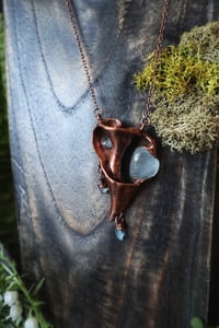 Image 5 of Ancient Waters Seashell Talisman