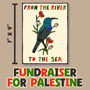 Palestine Sunbird Mini Print *FUNDRAISER*