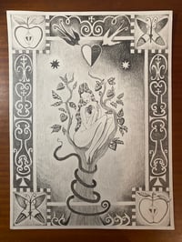 Image 1 of Elysian Fields