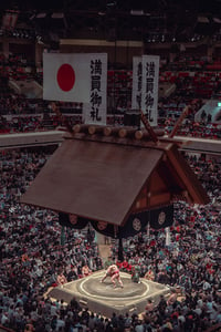 Image 3 of Fine Art - 20 copies / Signed -  Sumo tournament