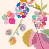 Image 3 of Blossoming Blackberries