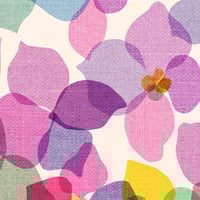 Image 2 of Hydrangea