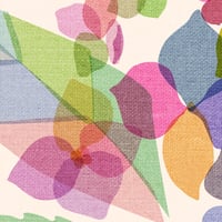 Image 3 of Hydrangea