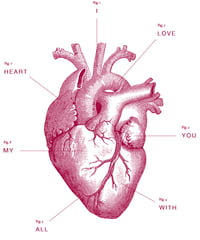 Image 1 of Anatomy of My Heart print