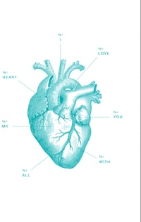 Image 2 of Anatomy of My Heart print