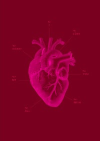 Image 3 of Anatomy of My Heart print
