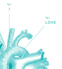 Image 5 of Anatomy of My Heart print