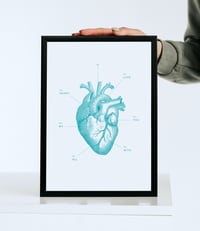 Image 4 of Anatomy of My Heart print
