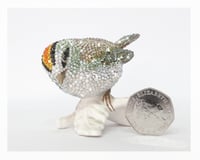 Image 1 of Fully Crystallised Firecrest Figurine Bird Miniature