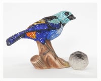 Image 1 of Fully Crystallised Seven-Coloured Tanager Bird