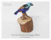 Image 5 of Fully Crystallised Seven-Coloured Tanager Bird