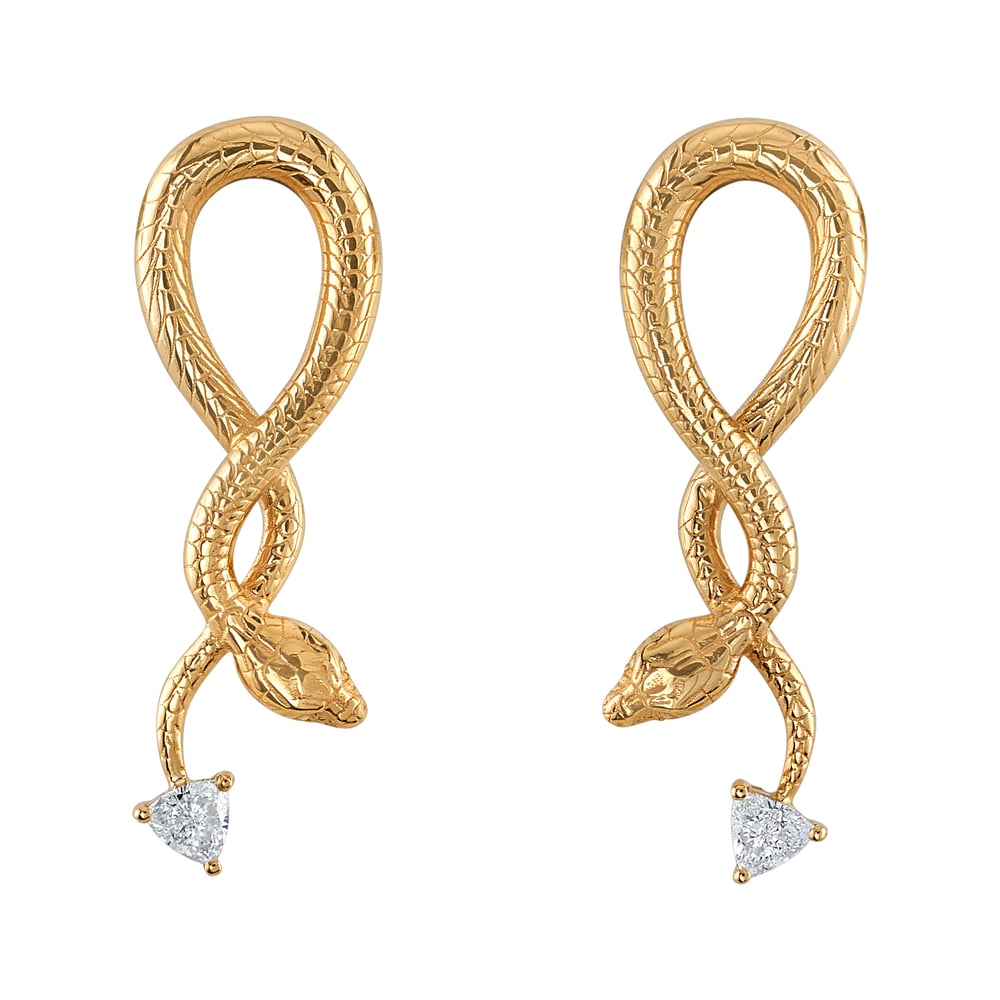 Image of Hanging Snake Earrings