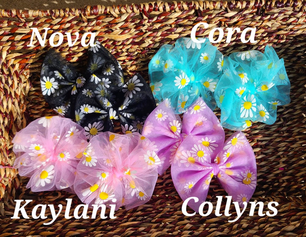 Image of Daisy Babes