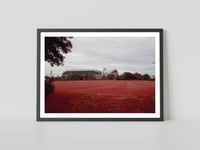 Anfield Utopia Print - Where Dreams Blossom in Red