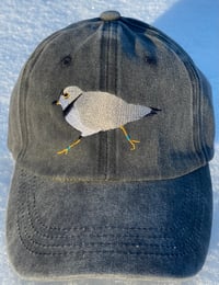 Image 2 of Piping Plover Dad Hat