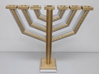 Image 1 of Silver & Gold Menorah. XL