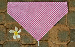 Image of Pink Gingham in Ashleigh Design