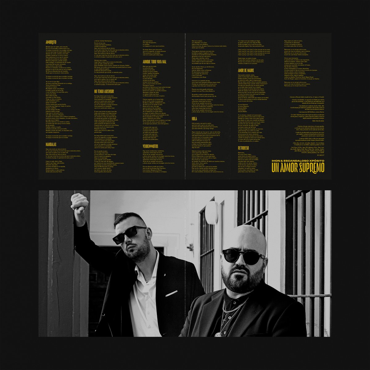 UN AMOR SUPREMO VINYL