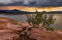 Reflections of Abiquiu 