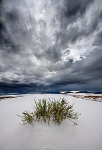 A Sands Storm