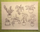 Image 1 of Stick & Stitch Embroidery Pattern Set - House Plants