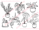 Image 5 of Stick & Stitch Embroidery Pattern Set - House Plants