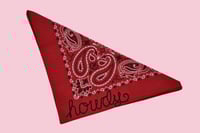 Image 1 of Custom Chain Stitched Bandana