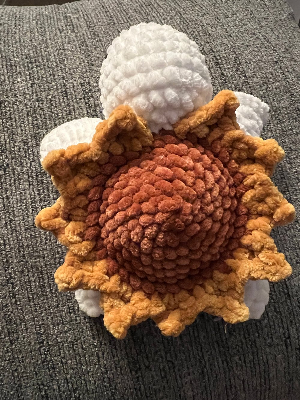 Image of Sunflower turtle 