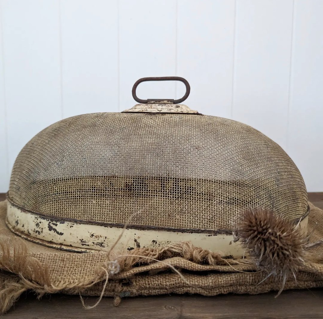 Image of Food cover