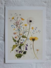 Hedgerow no. 1 print