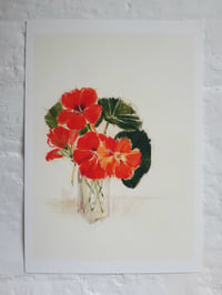 Image 1 of Nasturtiums in a vintage bottle print