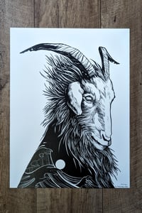 Image of Capricorne