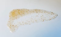 Image 3 of Conditioning Beard and Face Wash/Scrub