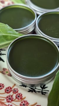 Image 4 of Healing Salve - 1oz