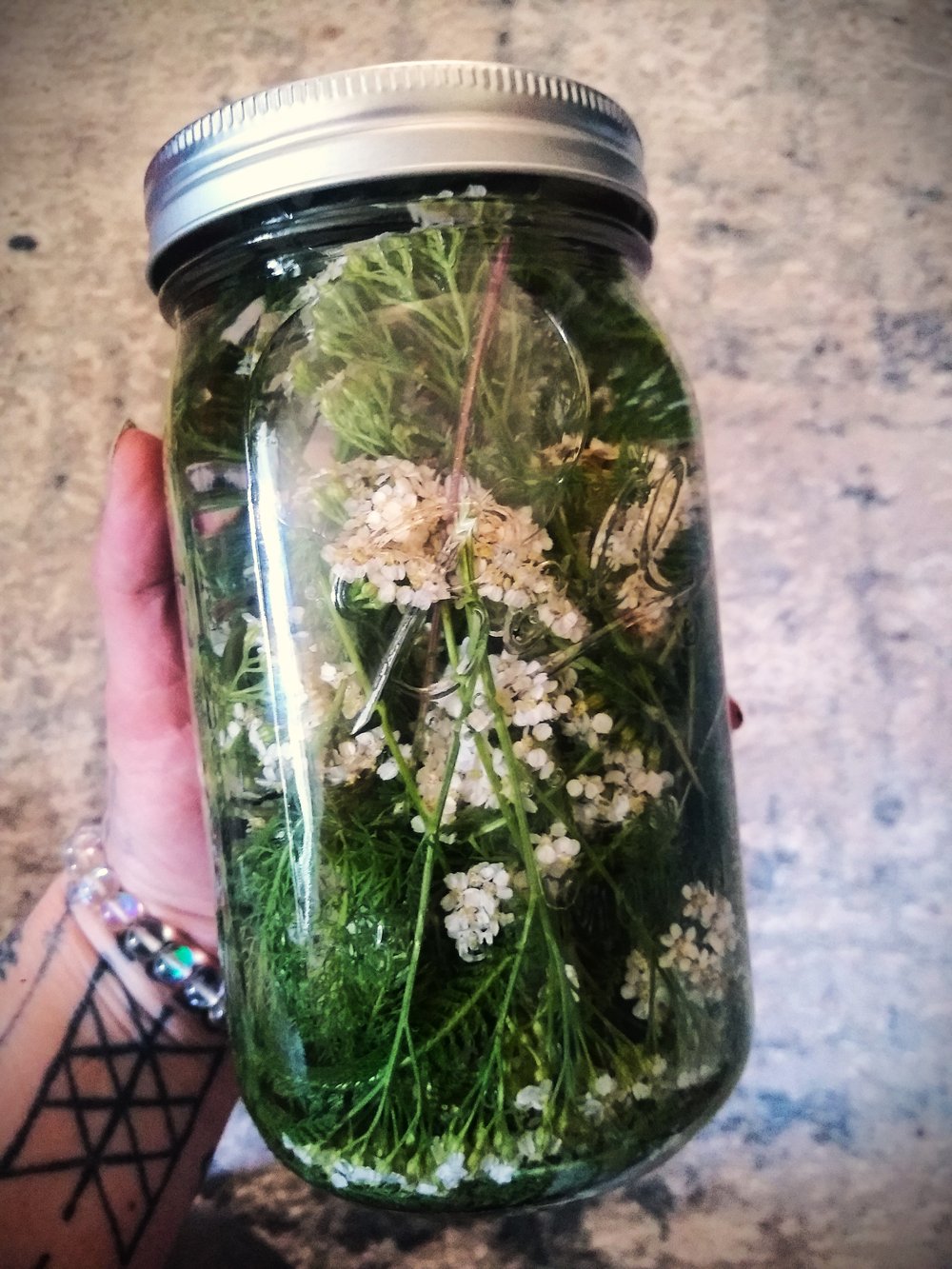 Yarrow Tincture 2oz