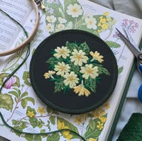 Image 4 of Introduction to Botanical Embroidery Bristol 11th May