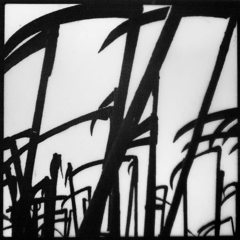 Image of Mortwight - Militant Melancholia CS