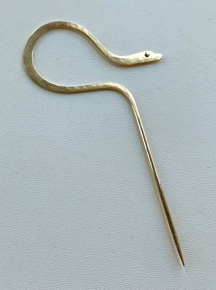 Image of Loop Snake Pin