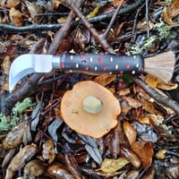 Image 1 of Mushroom Knives