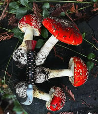 Image 5 of Mushroom Knives