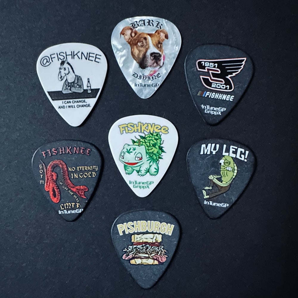 Guitar Pick Set (2017-2023)