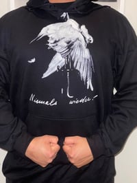 Discharge Hoodies