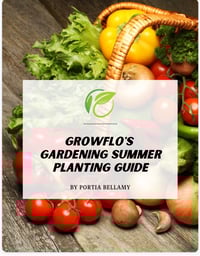 Gardening Basics Planting Guide: Summer edition