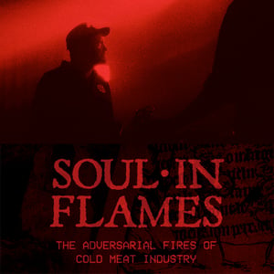 Soul in Flames - Collectors Edition