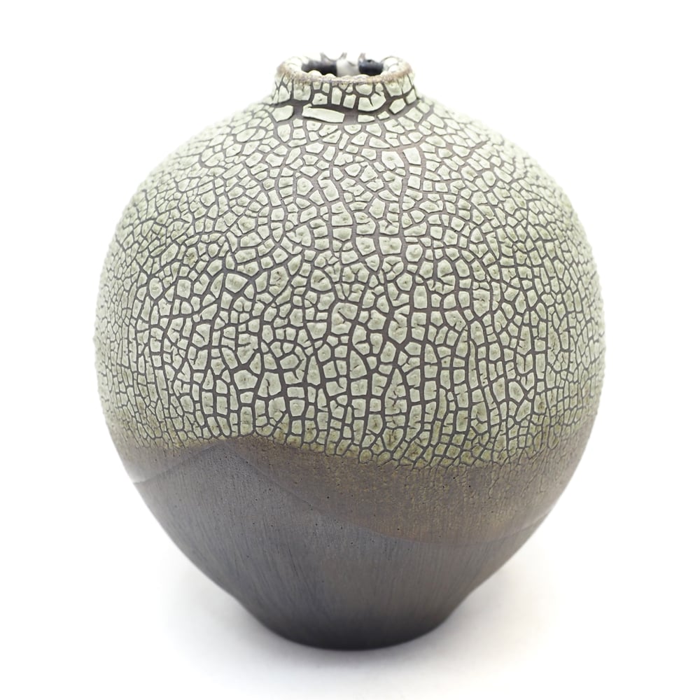 Image of Lichen Vase 02