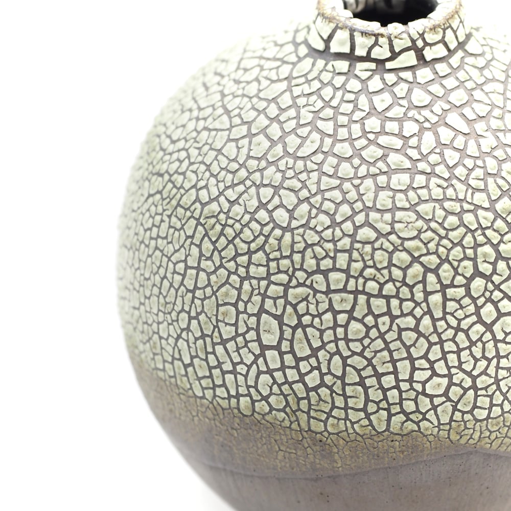 Image of Lichen Vase 02